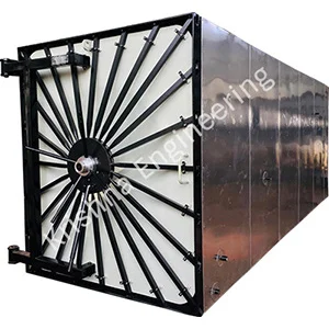 Ethylene Oxide Sterilizer